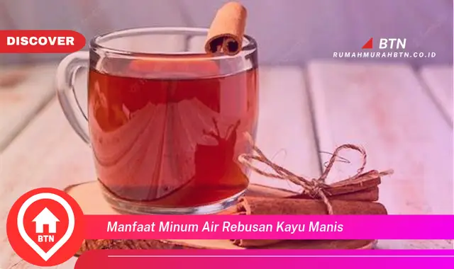 manfaat minum air rebusan kayu manis