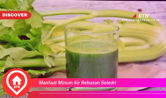 manfaat minum air rebusan seledri