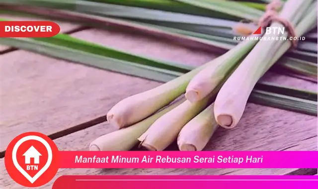 manfaat minum air rebusan serai setiap hari