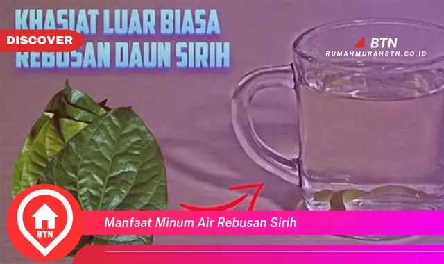 manfaat minum air rebusan sirih