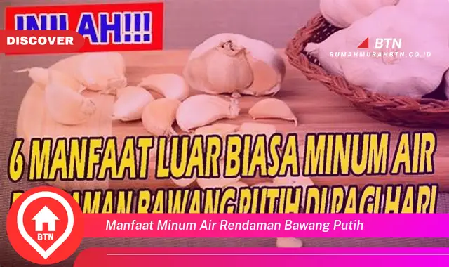 manfaat minum air rendaman bawang putih