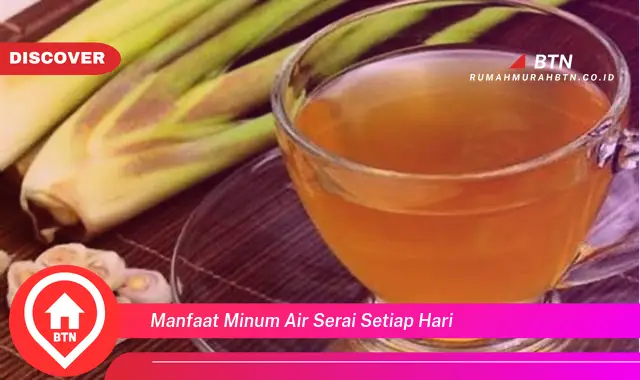 manfaat minum air serai setiap hari