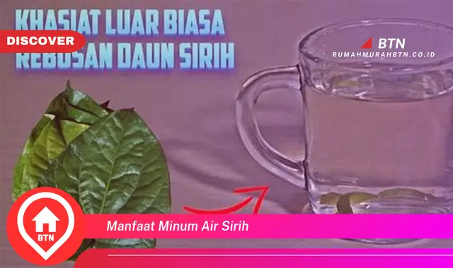 manfaat minum air sirih