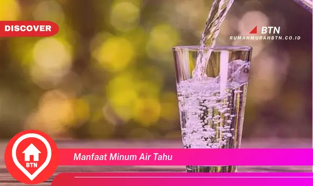 manfaat minum air tahu