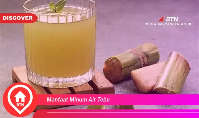 manfaat minum air tebu