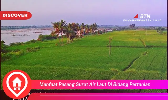 manfaat pasang surut air laut di bidang pertanian