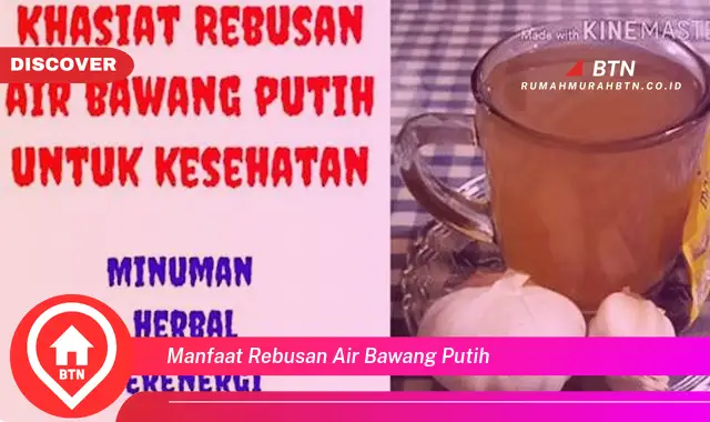 manfaat rebusan air bawang putih