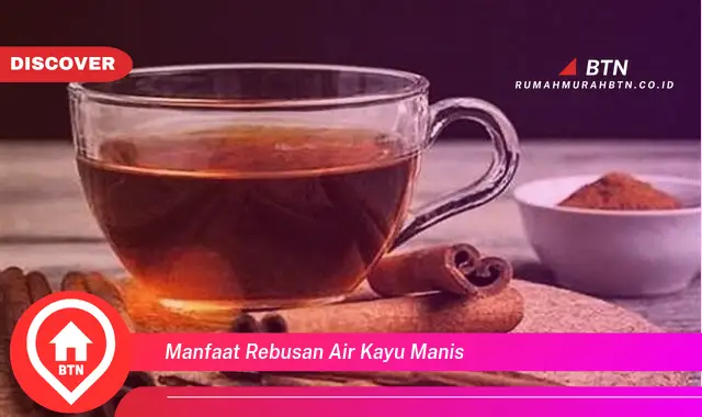 manfaat rebusan air kayu manis