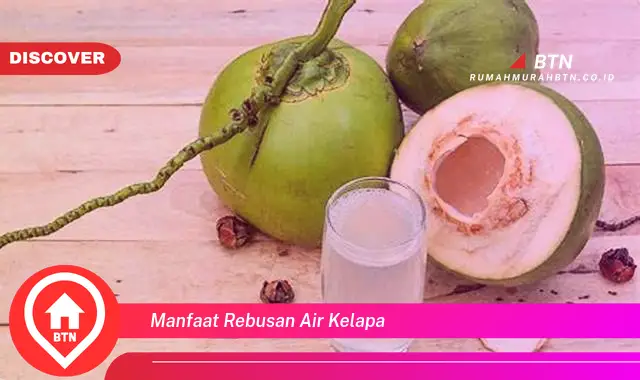 manfaat rebusan air kelapa