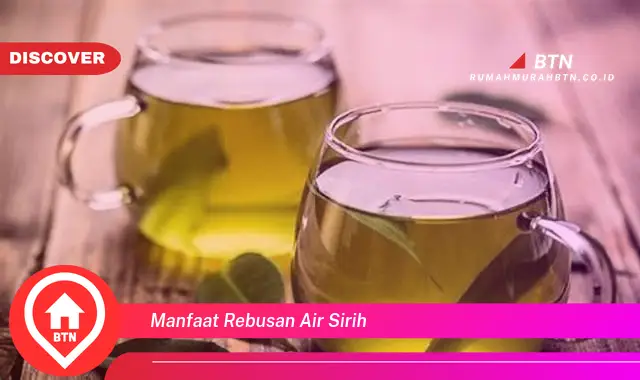 manfaat rebusan air sirih