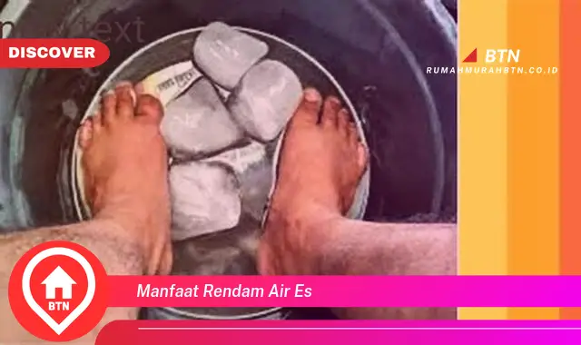 manfaat rendam air es