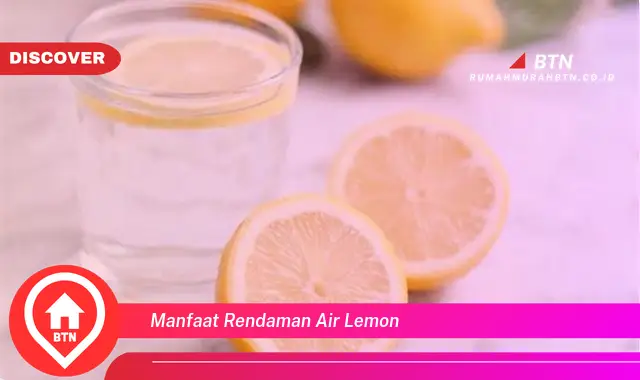 manfaat rendaman air lemon