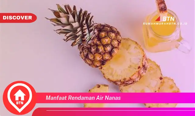 manfaat rendaman air nanas