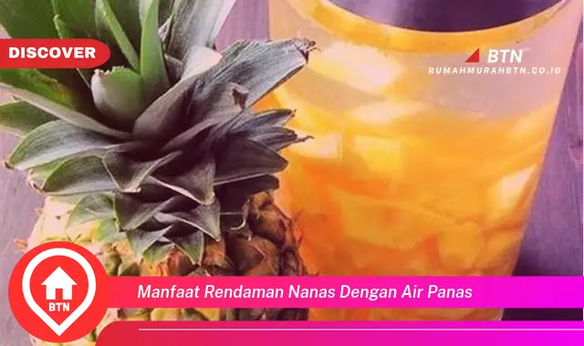 manfaat rendaman nanas dengan air panas