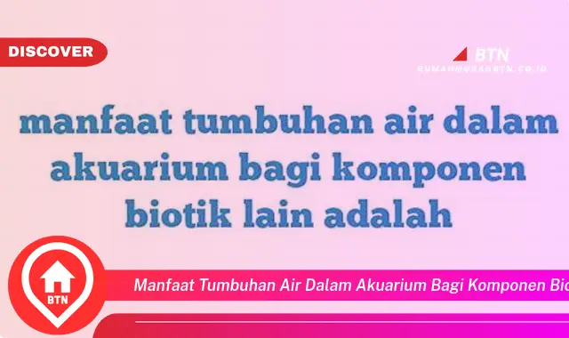 manfaat tumbuhan air dalam akuarium bagi komponen biotik lain adalah