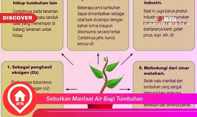 sebutkan manfaat air bagi tumbuhan