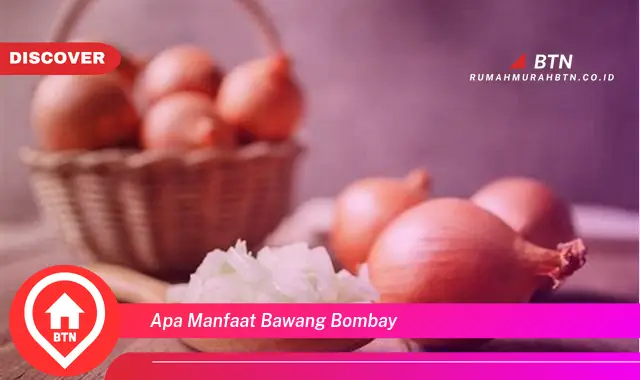 apa manfaat bawang bombay