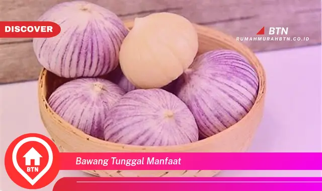 bawang tunggal manfaat