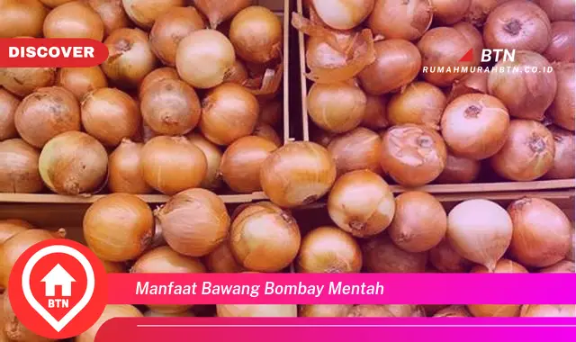 manfaat bawang bombay mentah