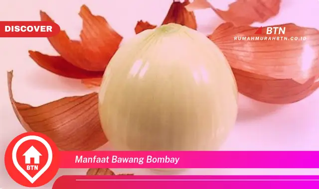 manfaat bawang bombay