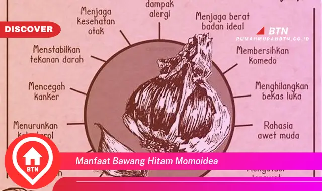 manfaat bawang hitam momoidea