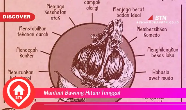 manfaat bawang hitam tunggal