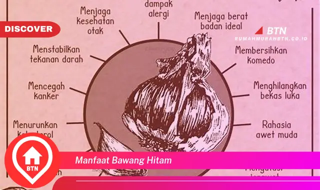 manfaat bawang hitam