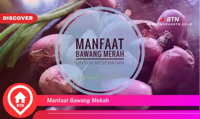 manfaat bawang mekah