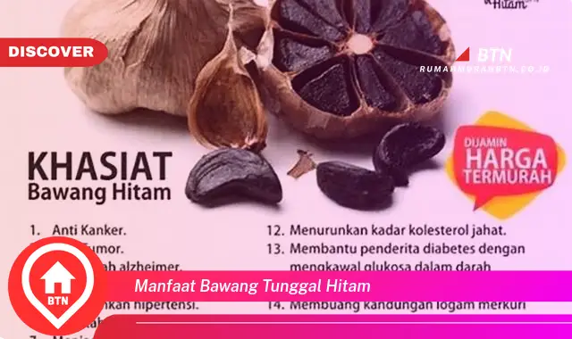 manfaat bawang tunggal hitam