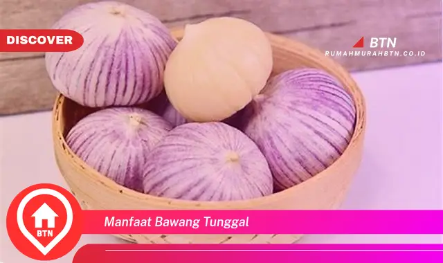 manfaat bawang tunggal