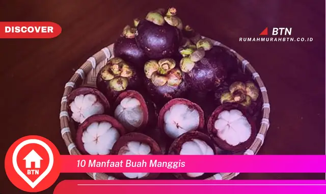 10 manfaat buah manggis