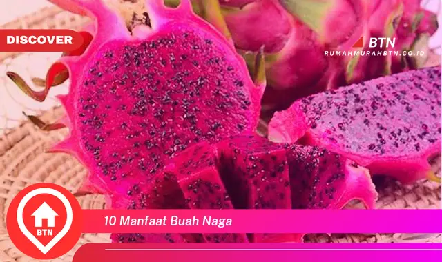 10 manfaat buah naga