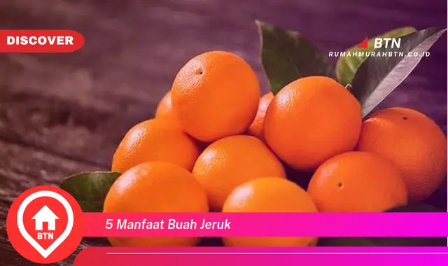 5 manfaat buah jeruk