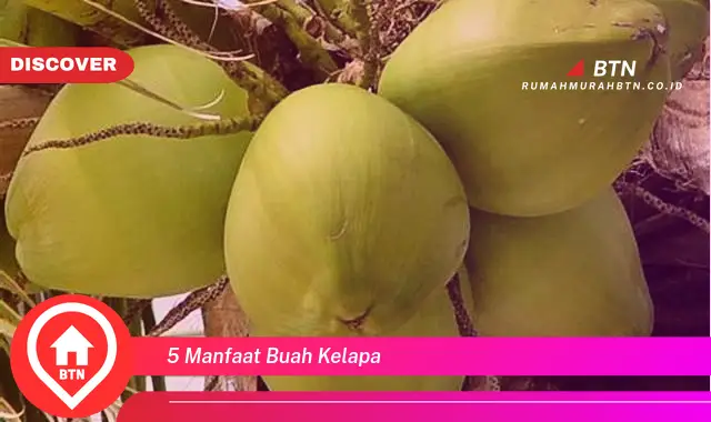 5 manfaat buah kelapa