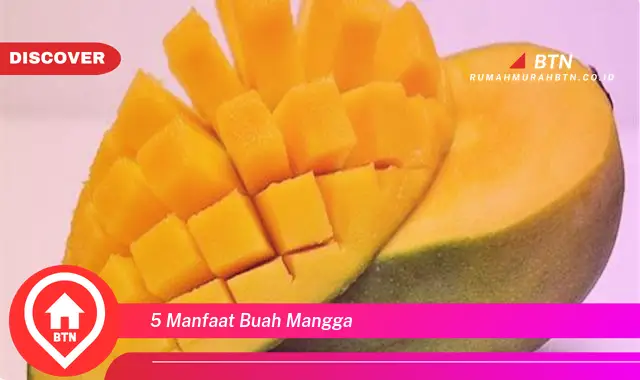 5 manfaat buah mangga