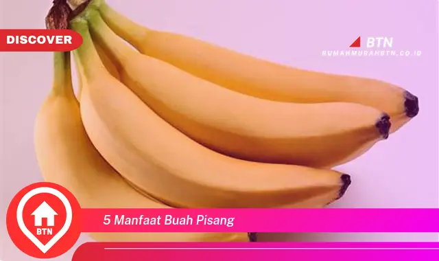 5 manfaat buah pisang