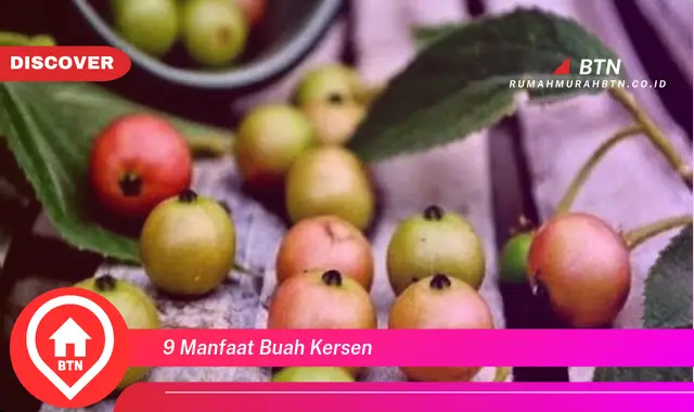 9 manfaat buah kersen