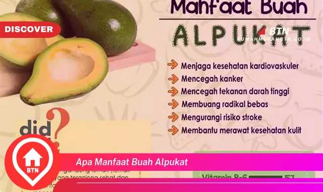 apa manfaat buah alpukat