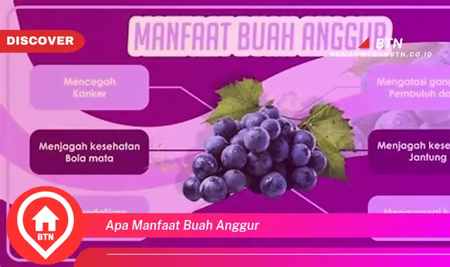 apa manfaat buah anggur