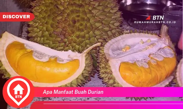 apa manfaat buah durian