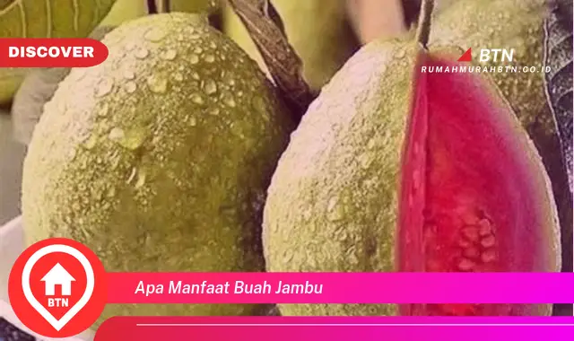 apa manfaat buah jambu