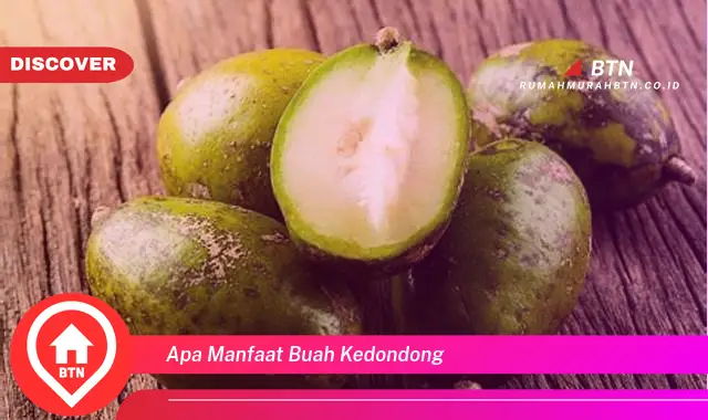 apa manfaat buah kedondong