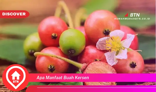 apa manfaat buah kersen