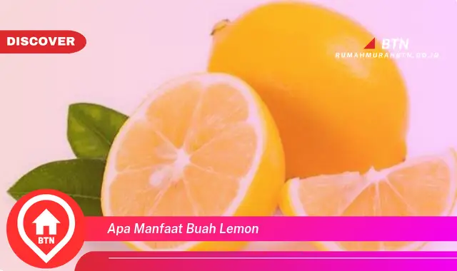 apa manfaat buah lemon