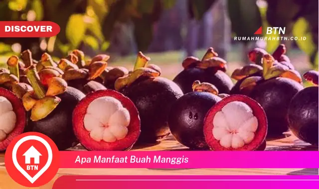 apa manfaat buah manggis