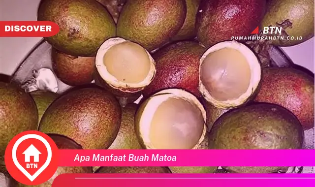 apa manfaat buah matoa