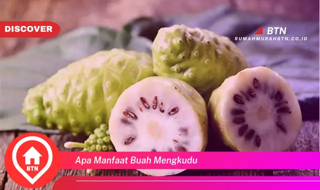 apa manfaat buah mengkudu