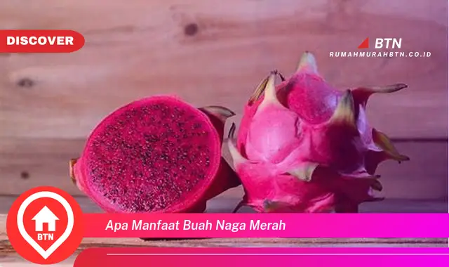 apa manfaat buah naga merah