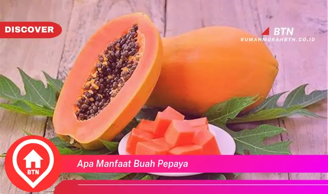 apa manfaat buah pepaya