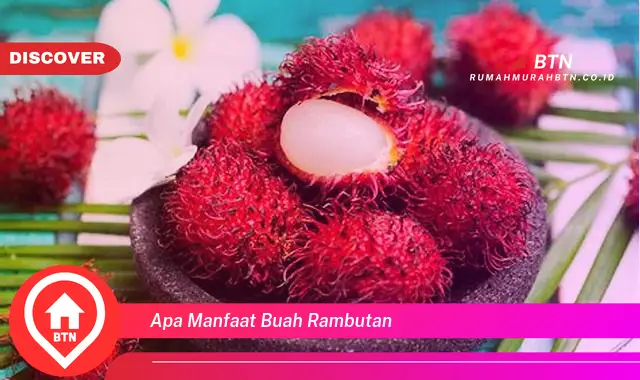 apa manfaat buah rambutan